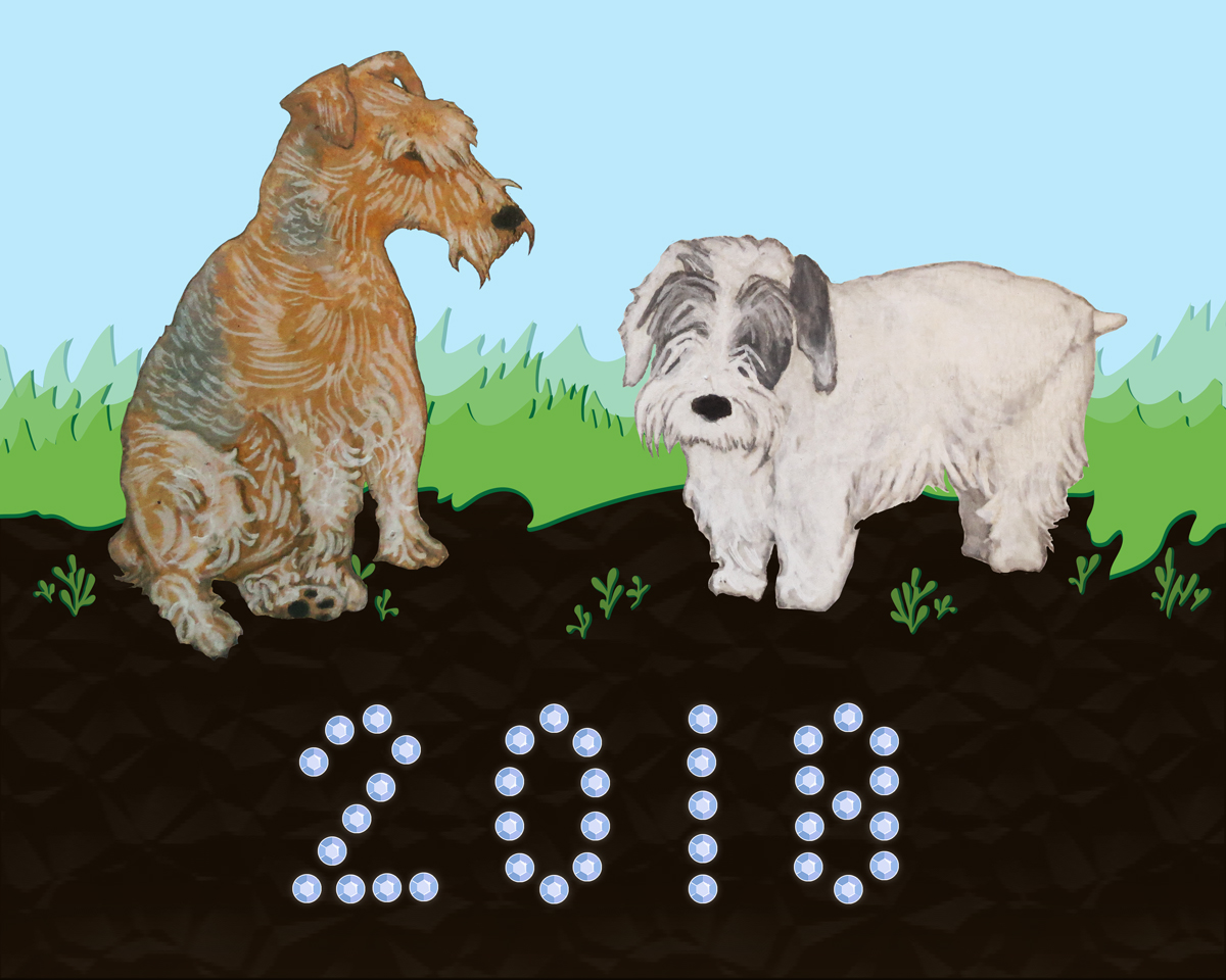 2018: Year of the Earth Dog
